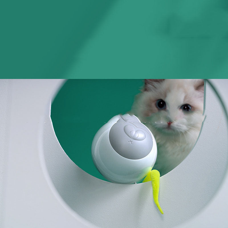 Pawora™ LED Smart Rolling Ball – Automatic Interactive Cat Toy