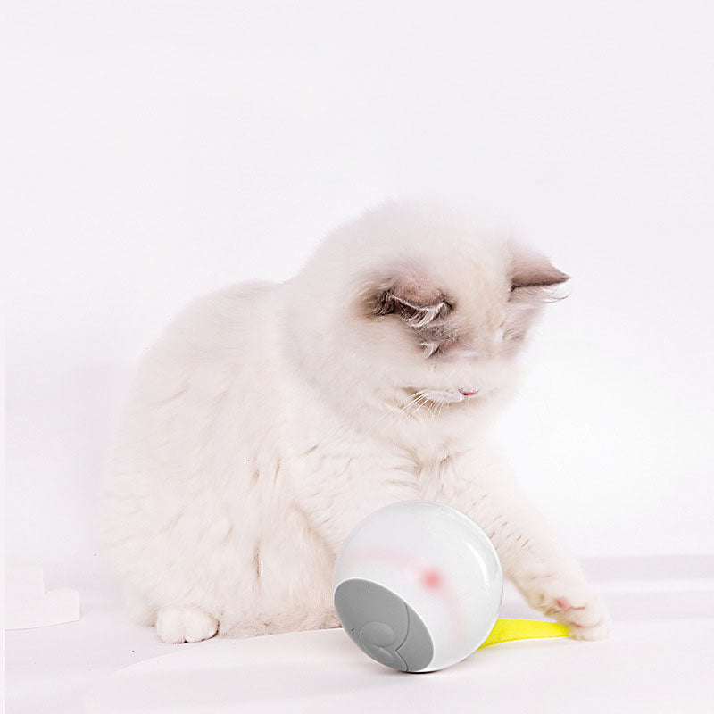 Pawora™ LED Smart Rolling Ball – Automatic Interactive Cat Toy