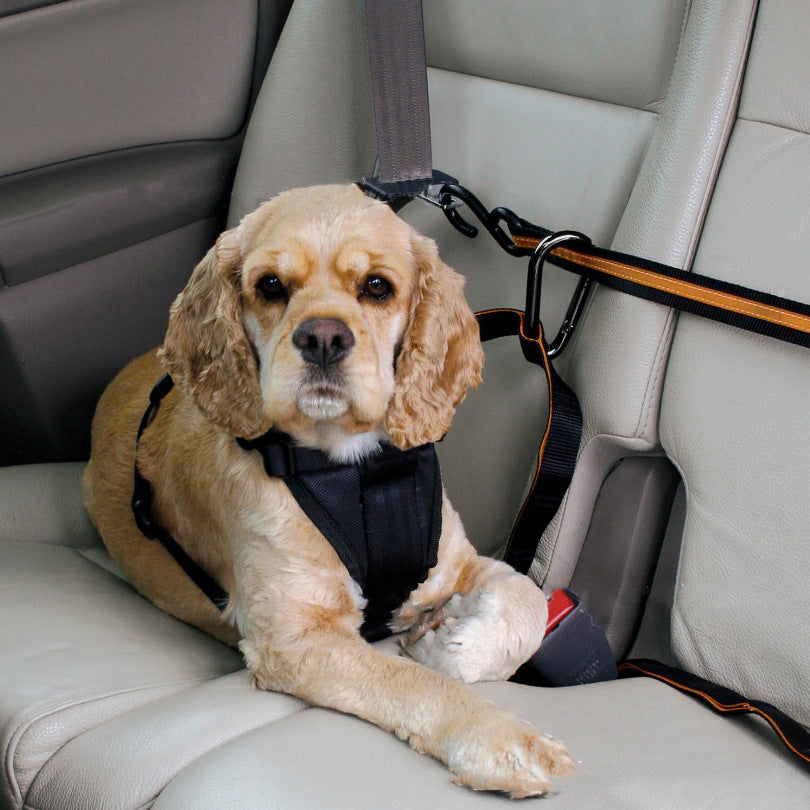 Pawora™ Pet Safety Seat Belt & Adjustable Car Harness Leash