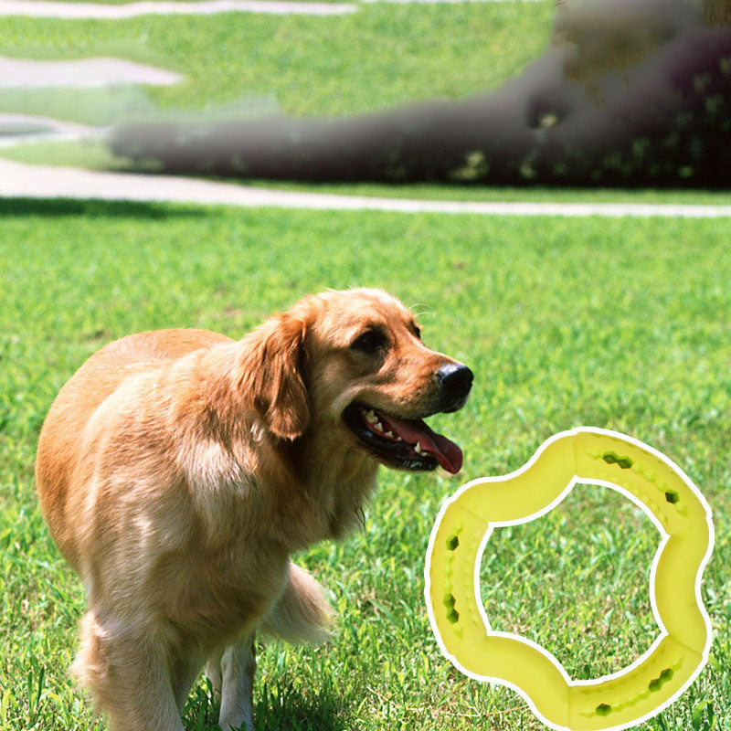 Pawora™ Interactive Chew Ring Toy – Durable Dental Toy for Dogs