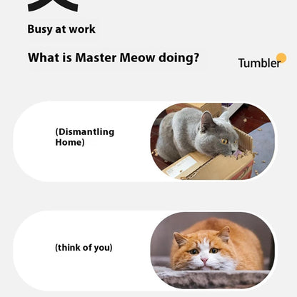 Pawora™ Smart Interactive Rolling Ball Toy – Self-Moving Play Toy for Cats & Dogs