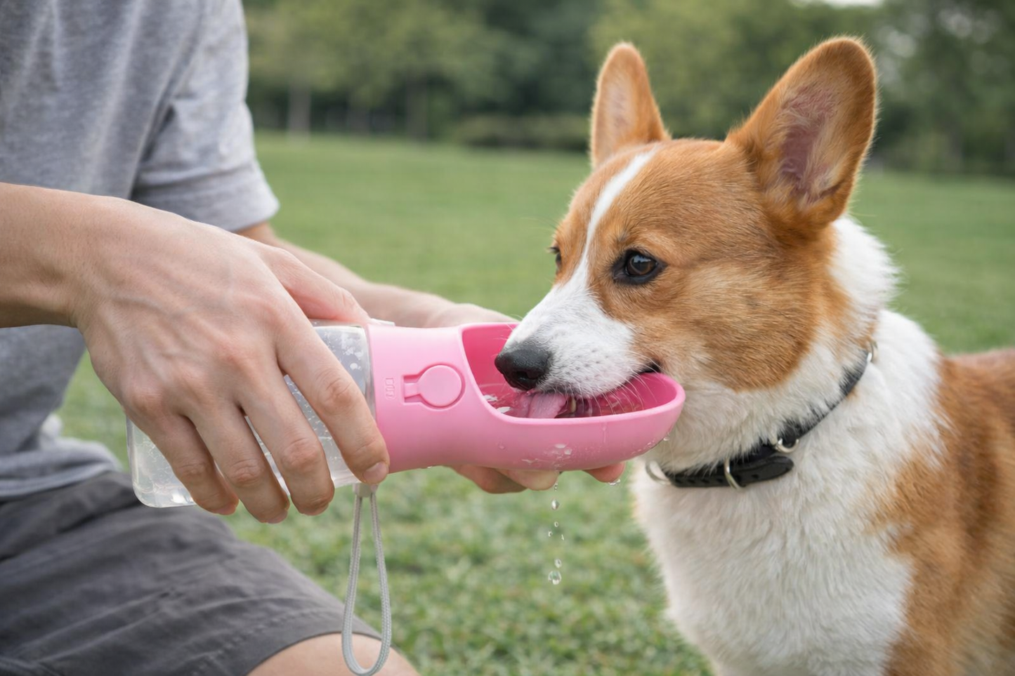 Pawora™ 3-in-1 Portable Dog Water Bottle with Food & Waste Bag Dispenser